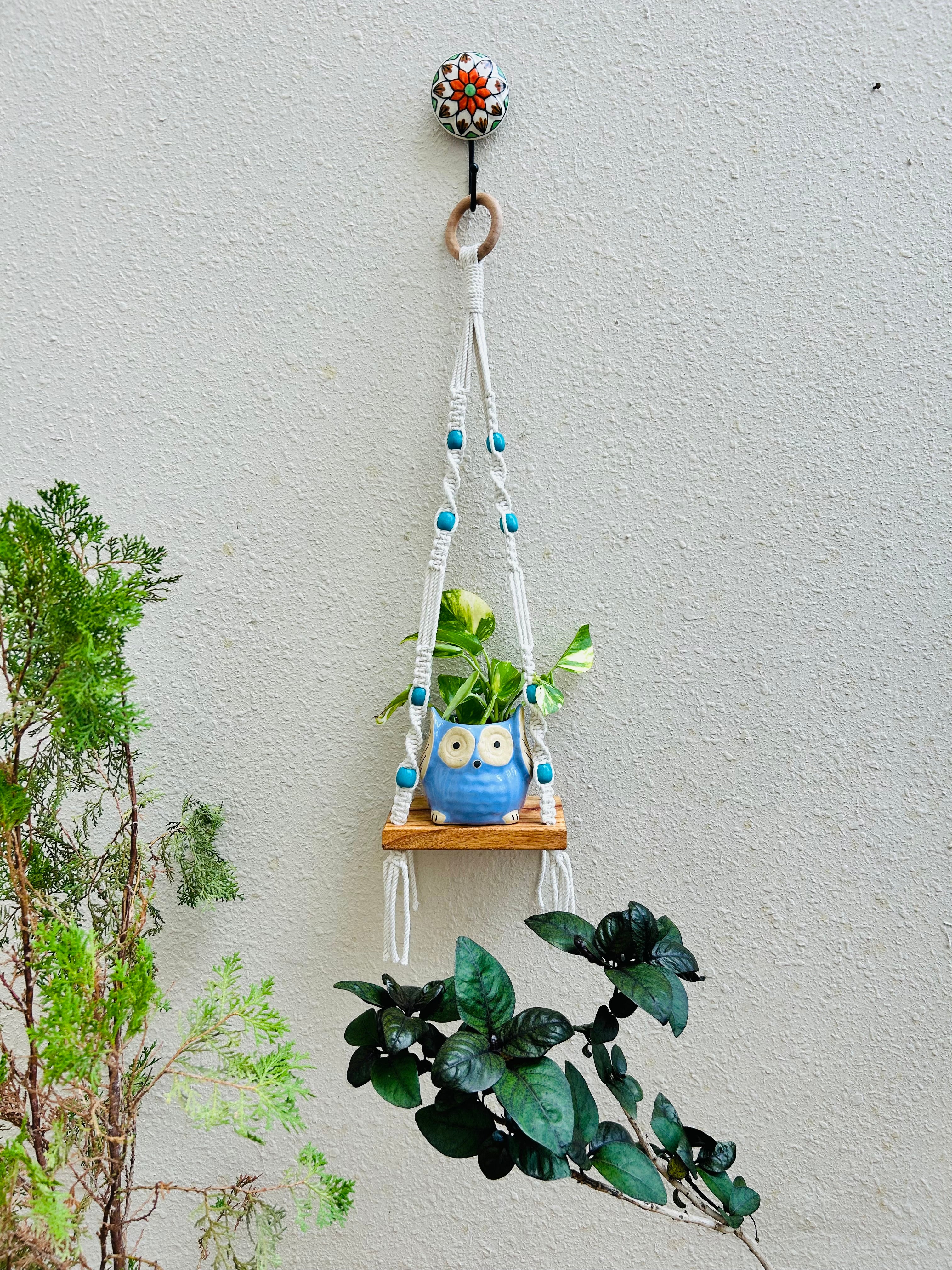 Knot and Bead | Macrame Shelf with planter and hook
