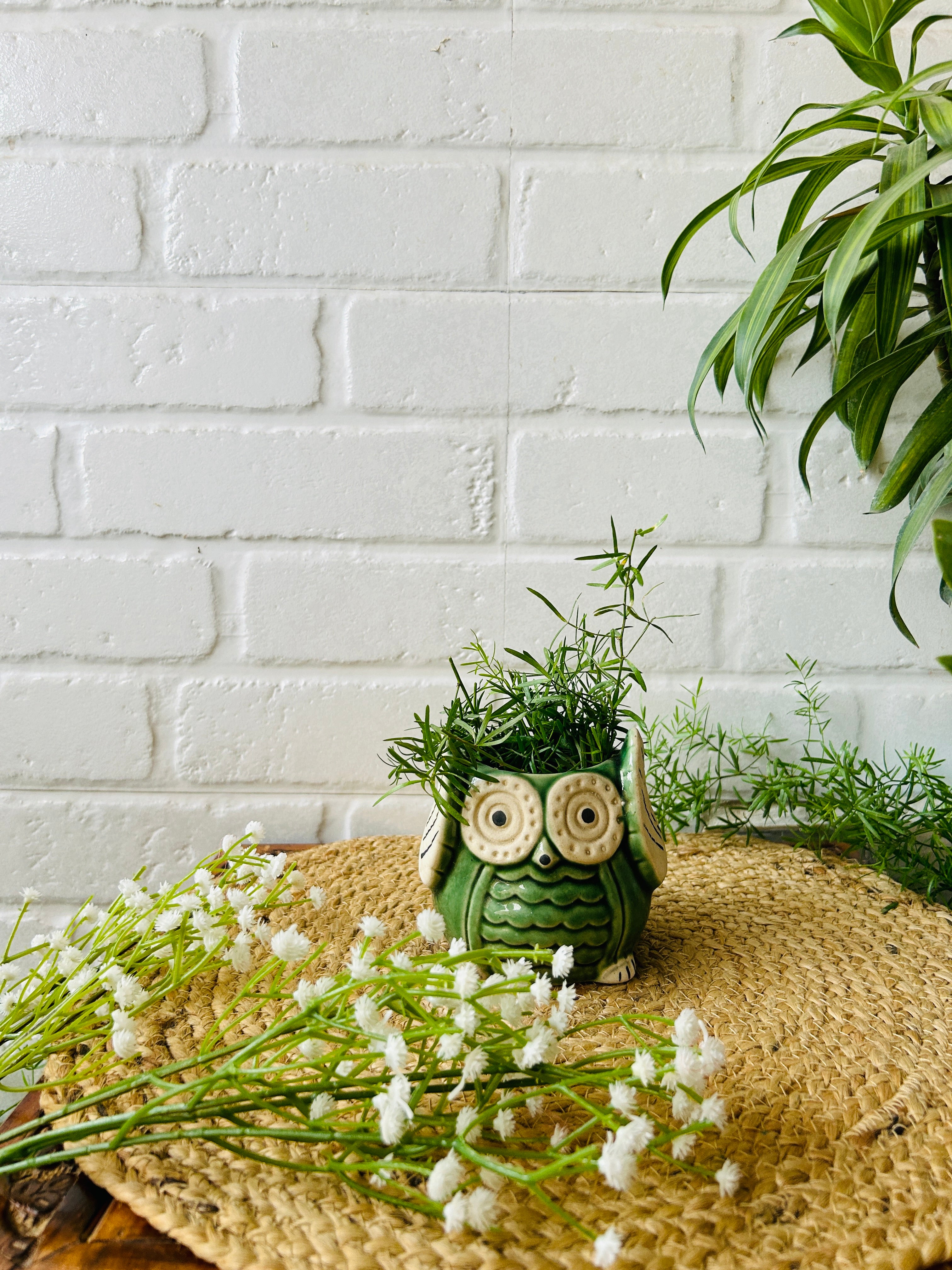 Ceramic Owl Planter | Olive Green |Buy 2 get 2 offer applicable| Use code