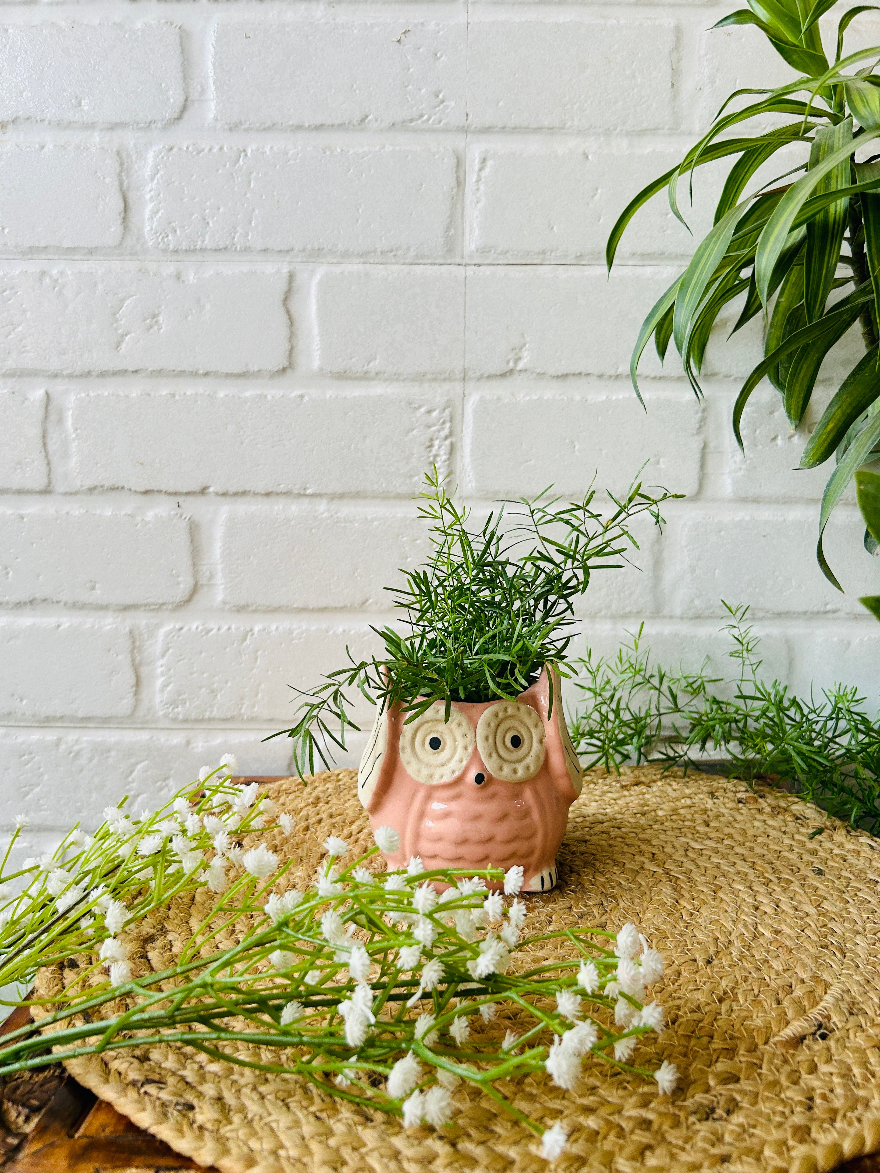 Ceramic Owl Planter | Pink | Buy 2 get 2 offer applicable| Use code