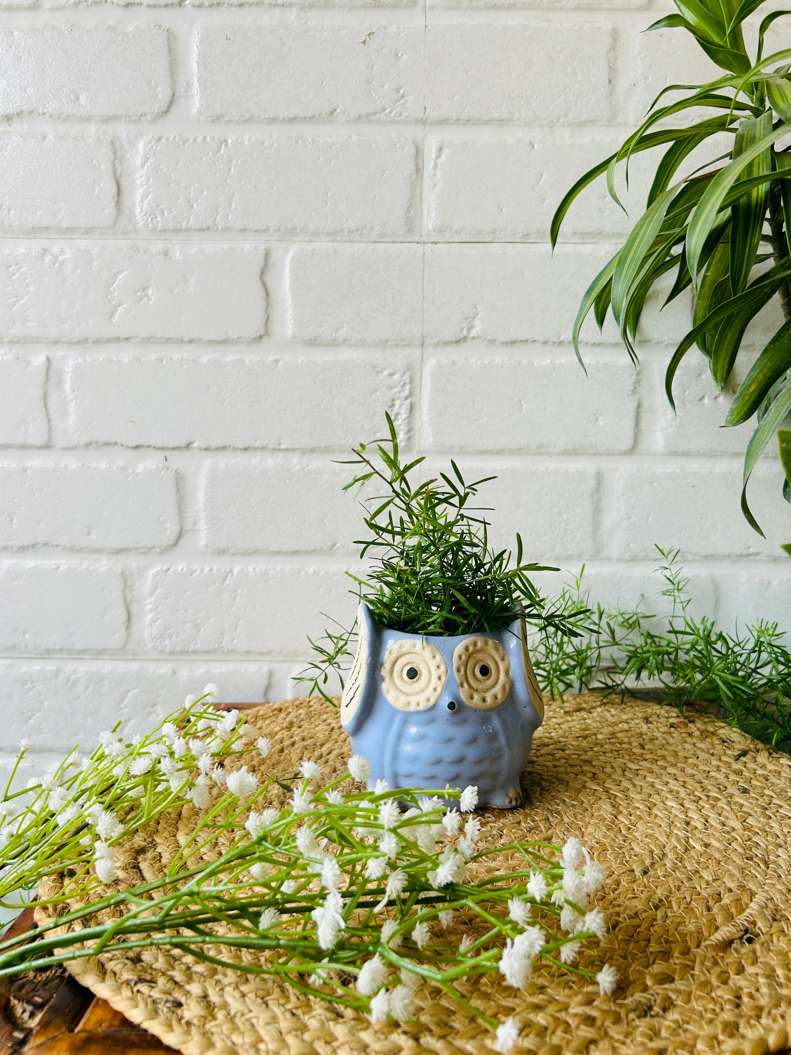 Ceramic Owl Planter | Dark Blue | Buy 2 get 2 offer applicable| Use code