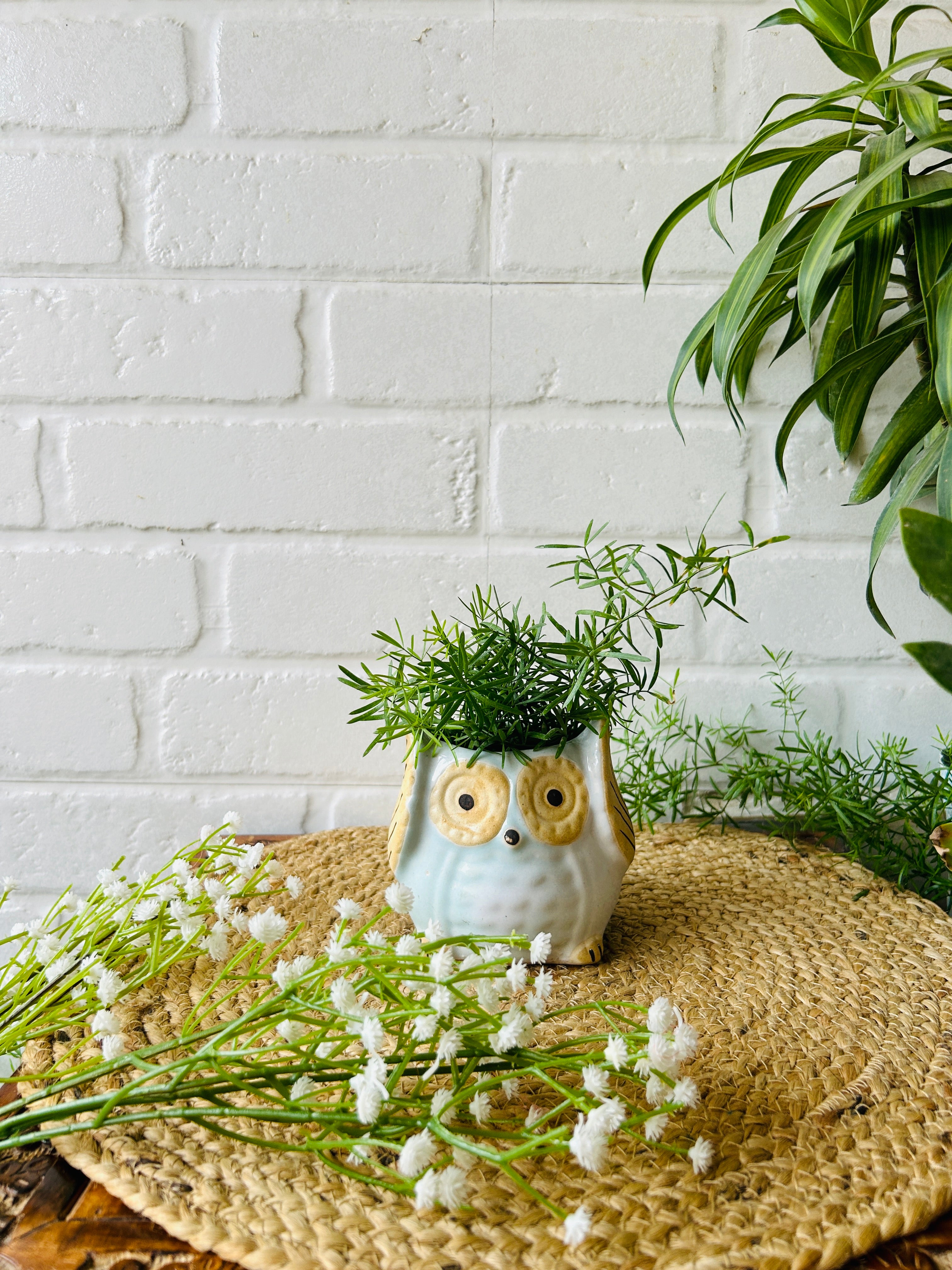 Ceramic Owl Planter | Light Blue | - Buy 2 get 2 offer applicable| Use code