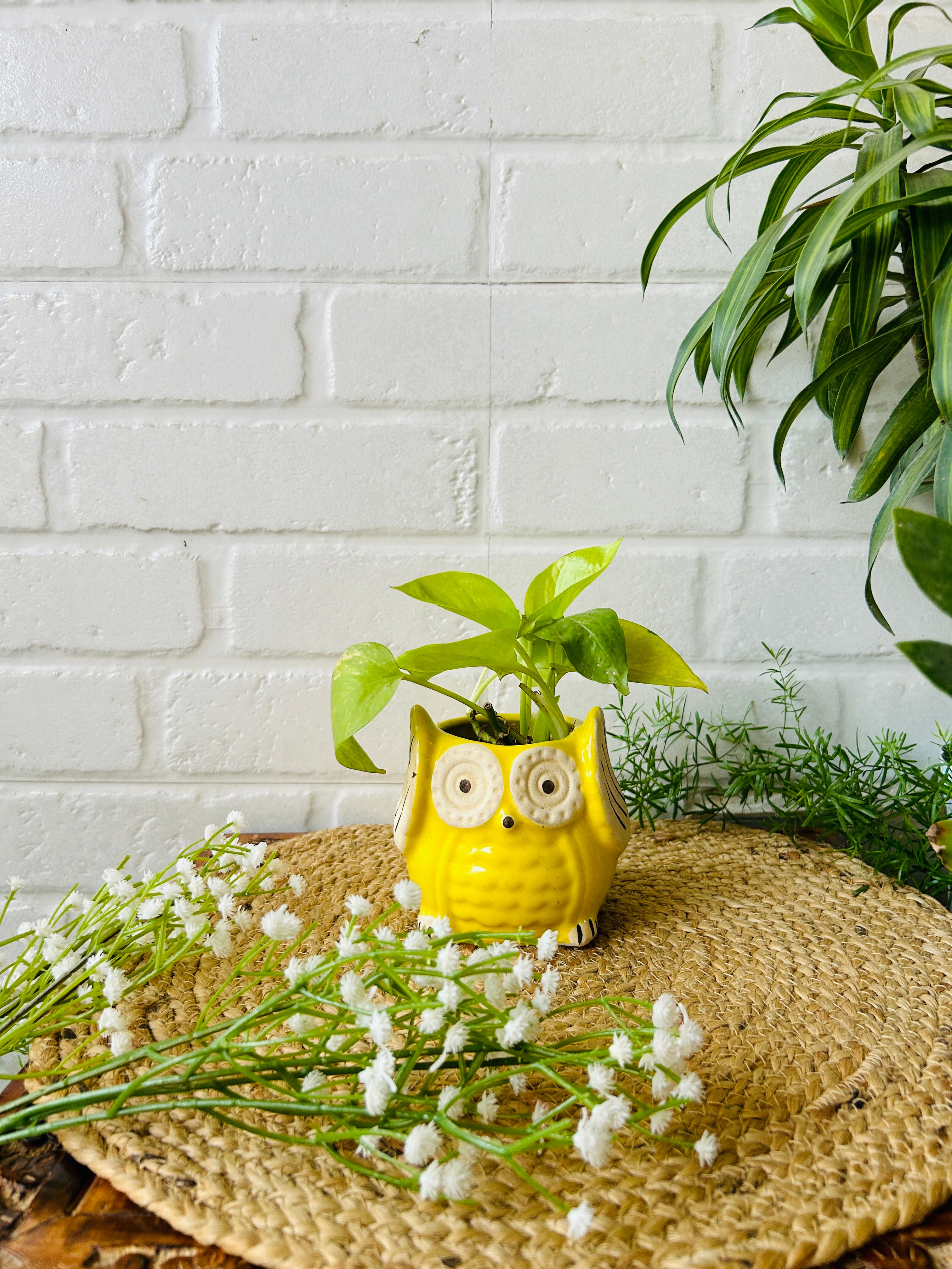 Ceramic Owl Planter | Yellow - Buy 2 get 2 offer applicable | Use code
