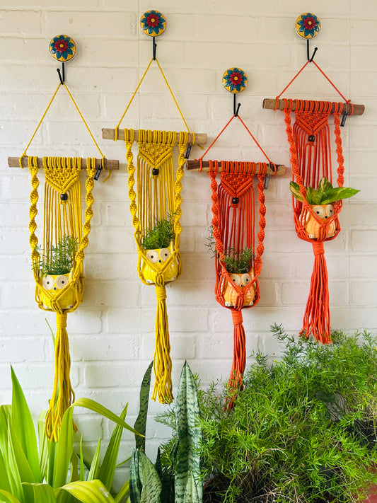 "Sunrise & Sunset" Macrame Plant Hangers | Yellow and Orange | Set of 4