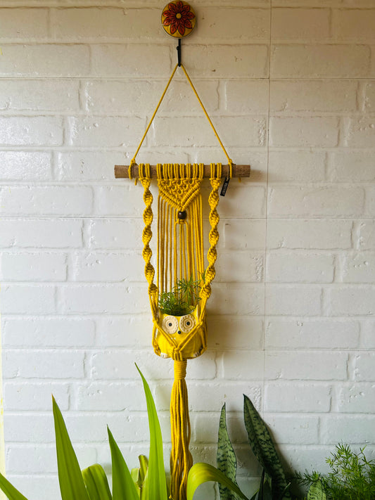 "Sunrise" Macrame Plant Hangers | Yellow