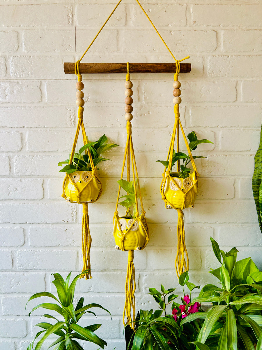 yellow macrame plant hanger Beaded Triple Macrame Plant Hanger with Owl planters & Ceramic Hook