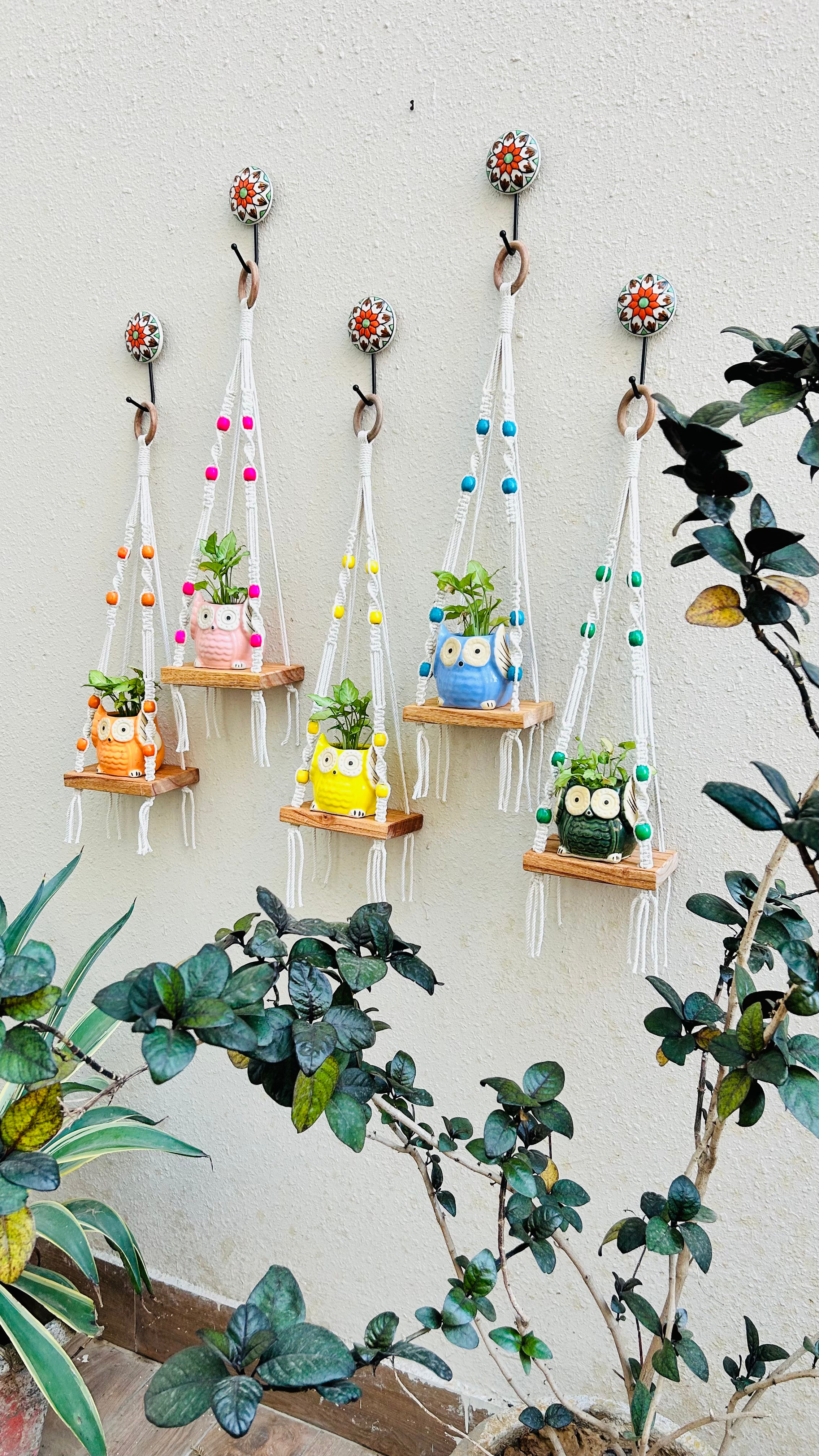 KNOT AND BEAD | SET OF FIVE | Macrame Mini Wall Shelves with owl planters and ceramic hooks
