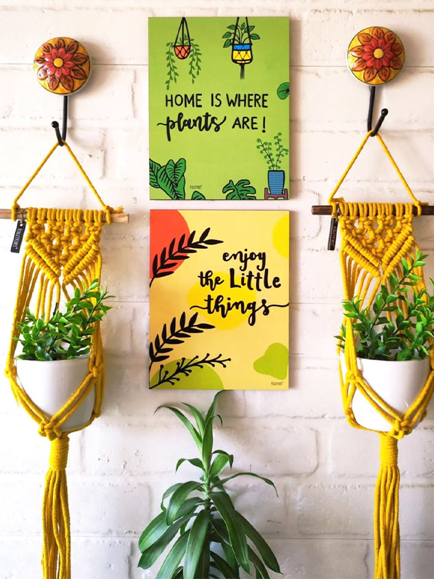 Home is where plants are Combo | Balcony decor