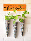 Green Combo | Balcony decor