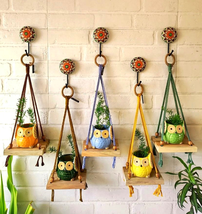 Colored Mini Shelves with Owl shaped planters and Ceramic hooks