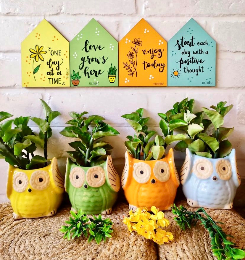 Owl Planters + Wooden Huts | Option 2