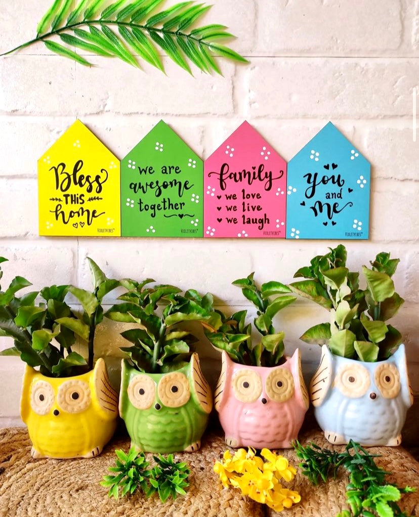 Owl Planters + Wooden Huts | Option 1