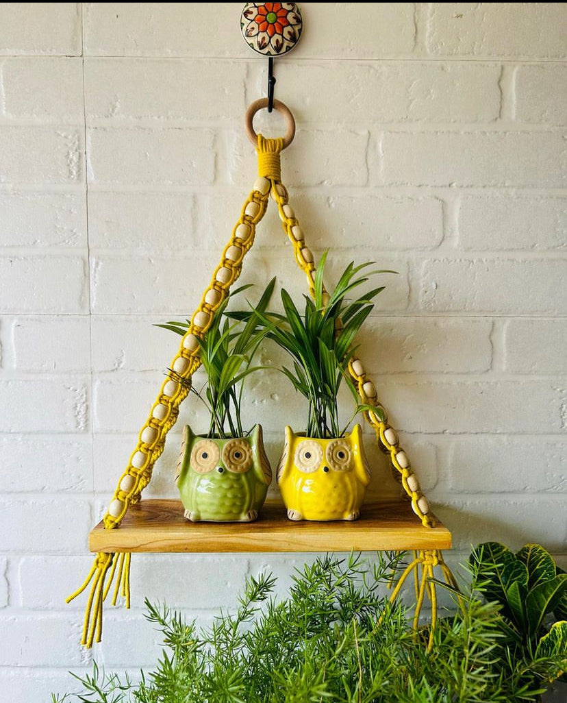 Natural Wood Yellow Beaded Shelf | With Ceramic Planters and Hook
