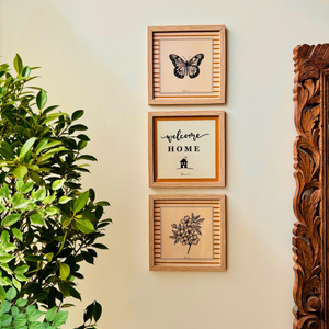 Still Stories | A set of 3 Wall Frames