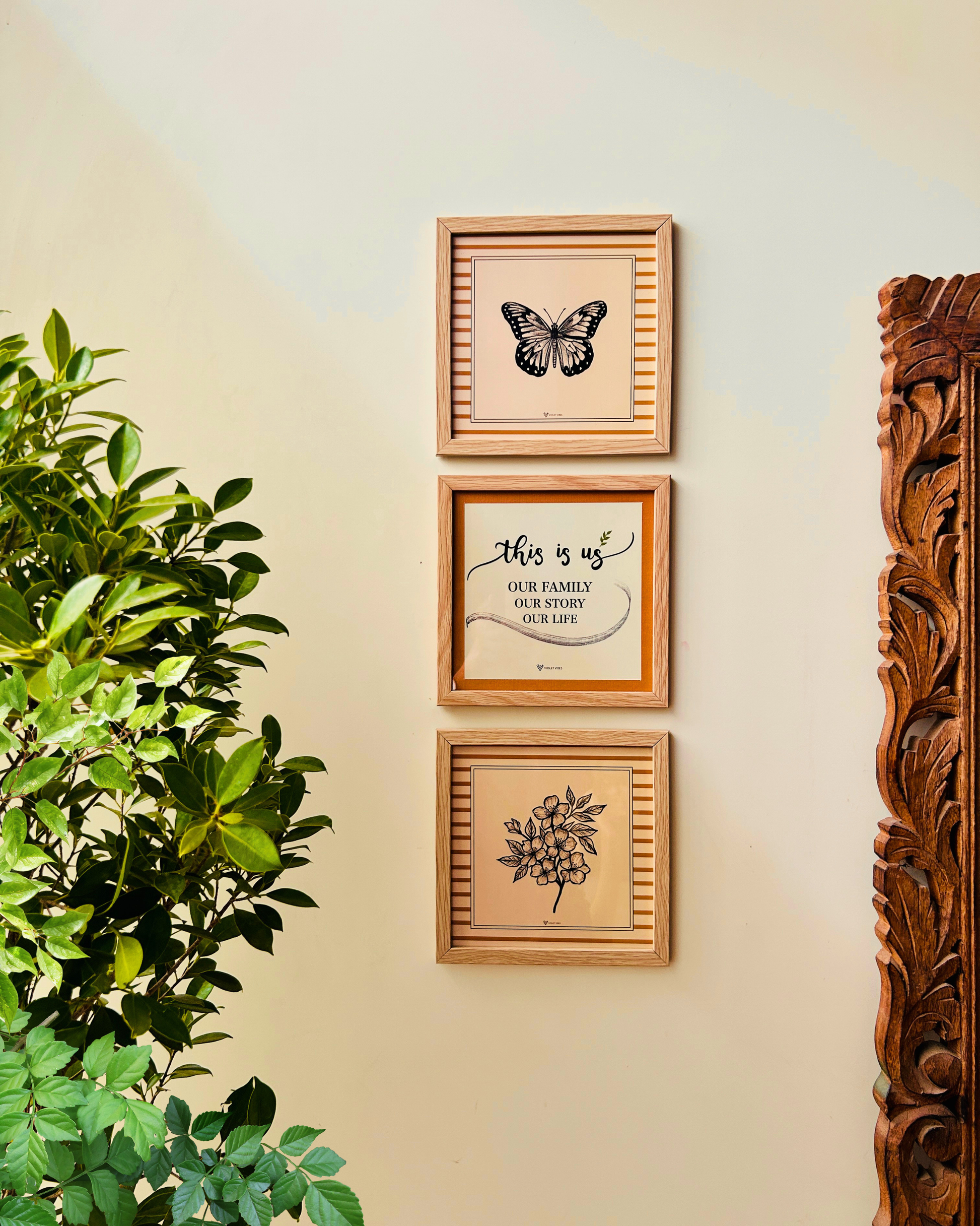 Still Stories | A set of 3 Wall Frames