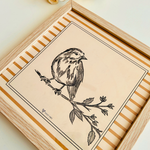 Still Stories | Sparrow | Doodled Glass Wall Frame