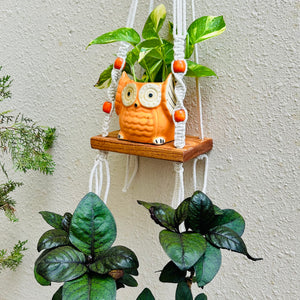 Knot and Bead | Macrame Shelf with planter and hook