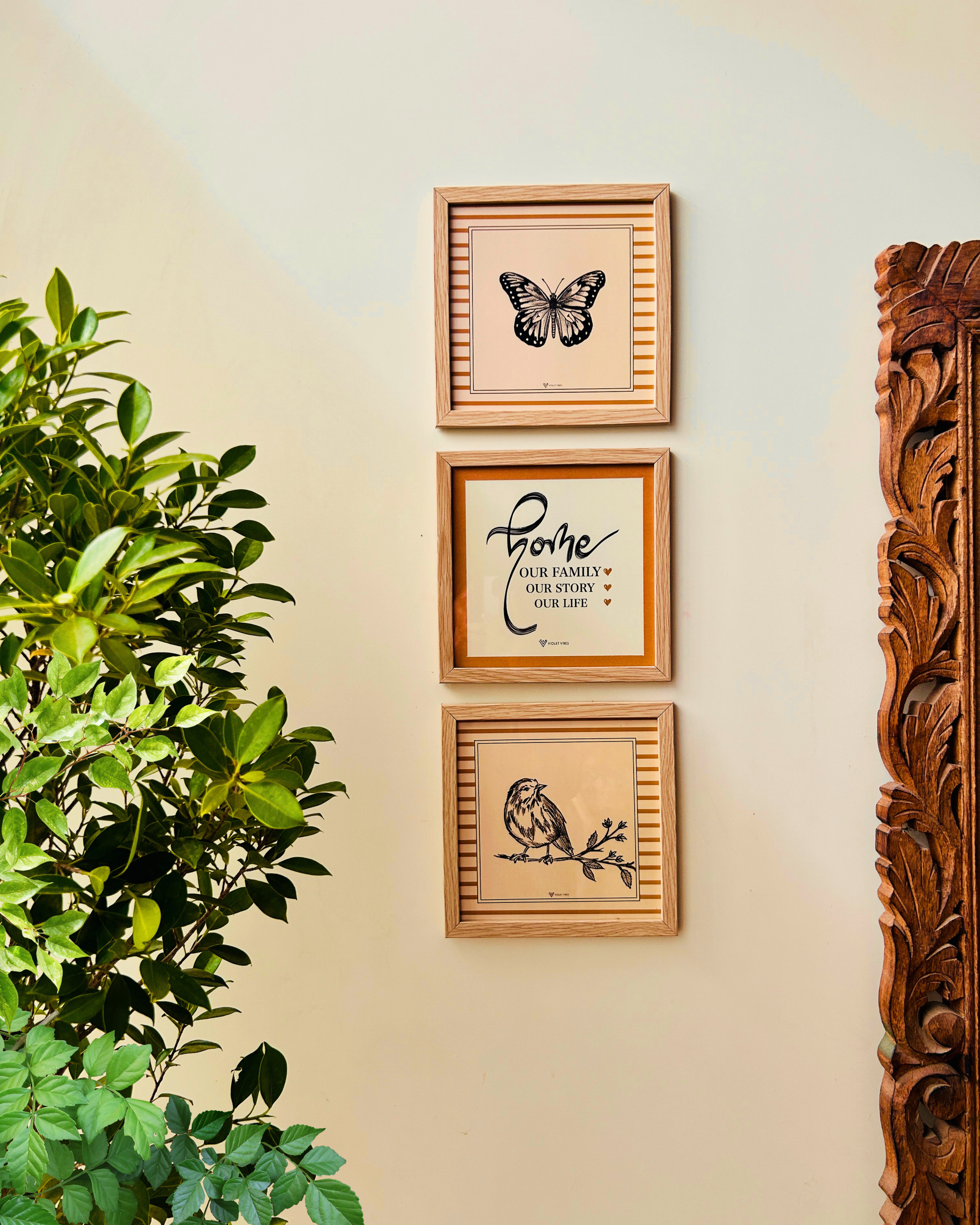 Still Stories | A set of 3 Wall Frames