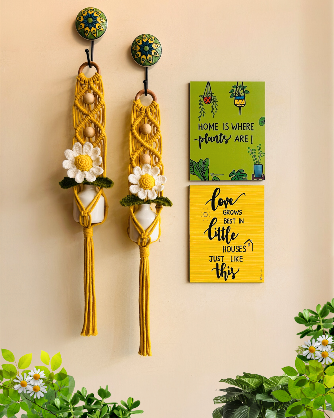 Mac-crochet Collection |Plant-Love wall set up | with macrame hangers and crochet flowers