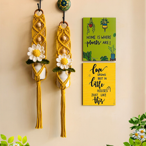 Mac-crochet Collection |Plant-Love wall set up | with macrame hangers and crochet flowers