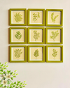 Whispers of leaves | Green Wall Frame Set of 9 | Hand made designs | Glass on top
