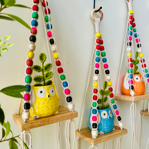 RAINBOW 'KNOT' WALL SHELVES