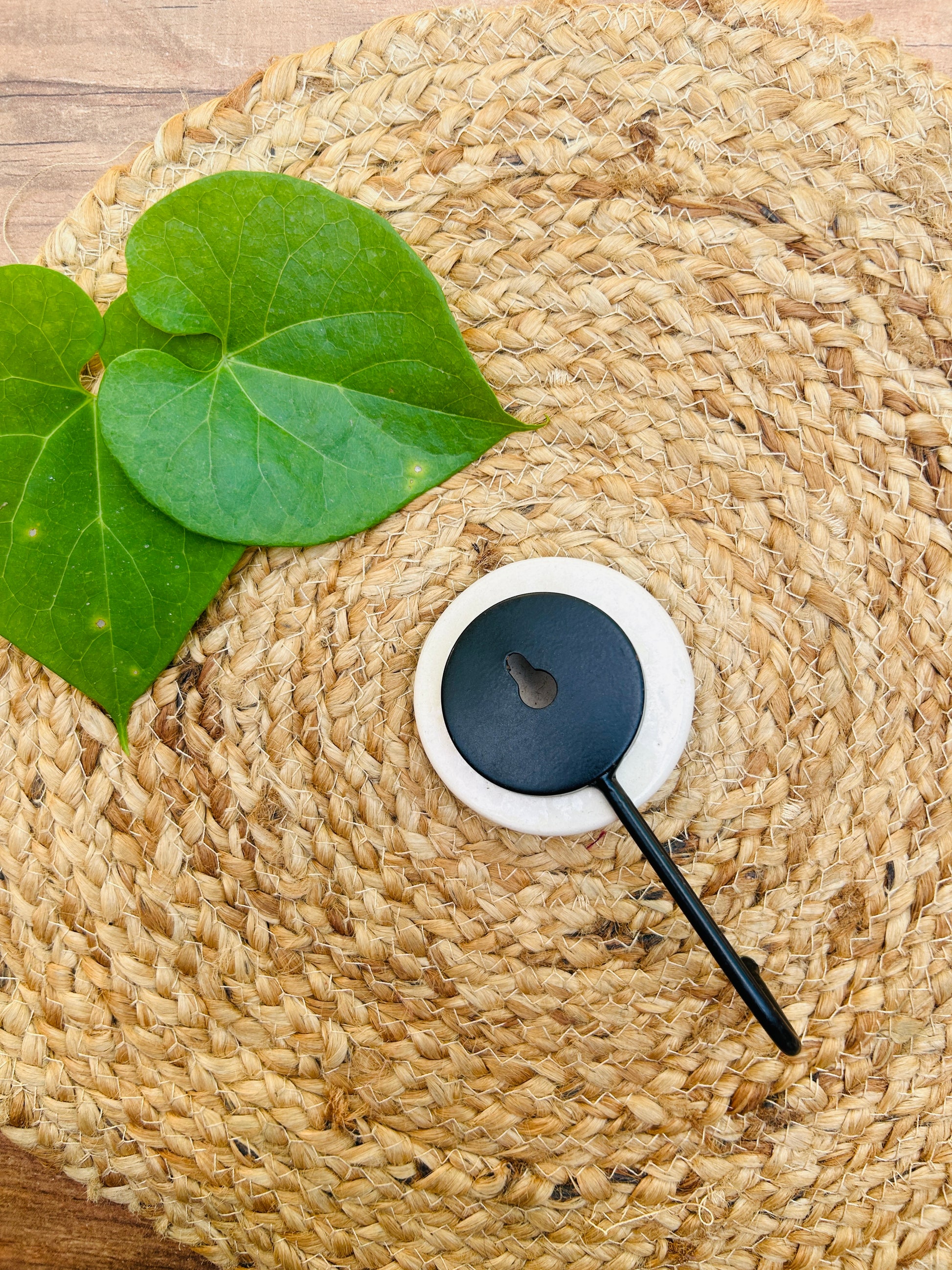 Colorful Macrame Plant Hangers with classic white ceramic pots and ceramic hook