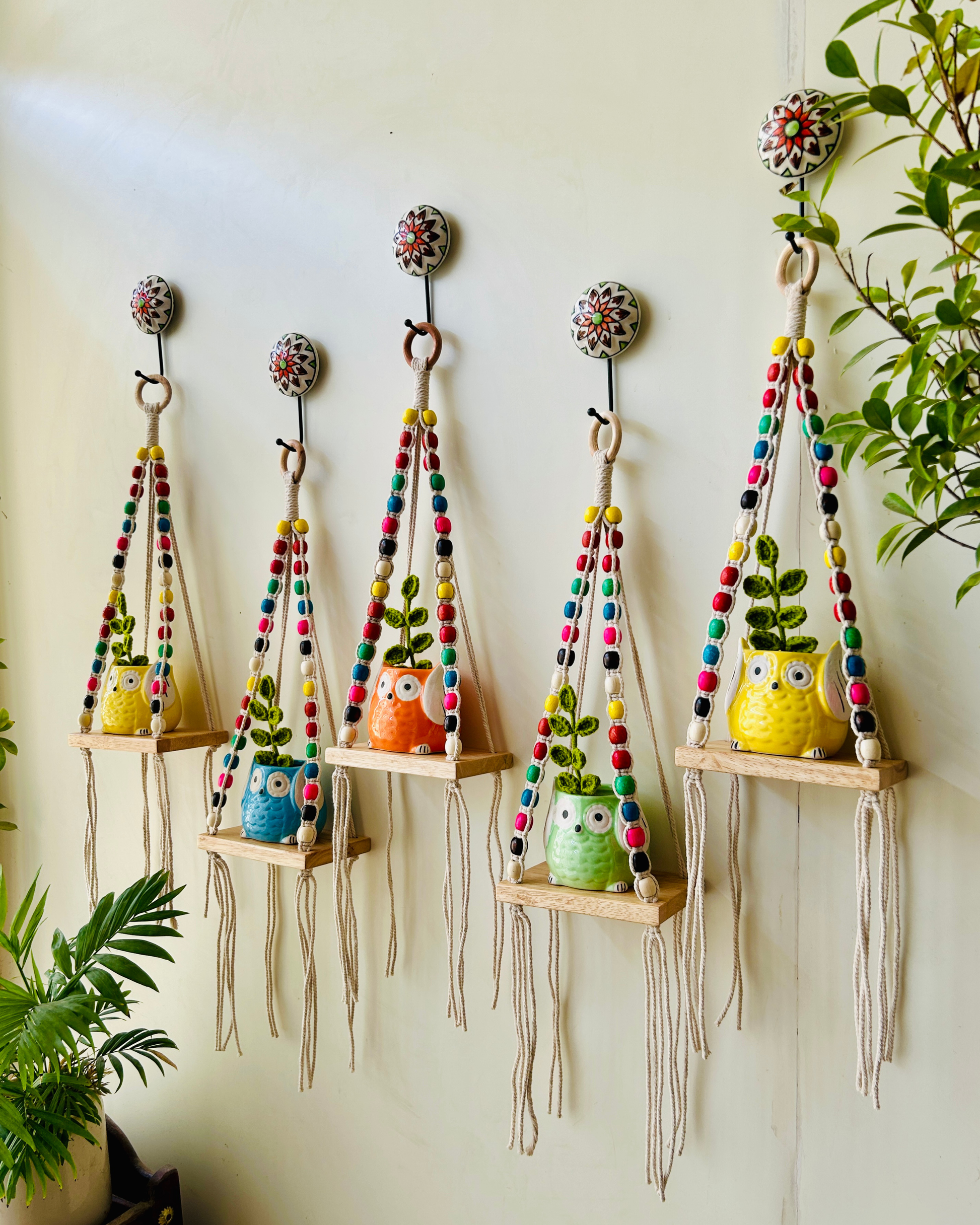 RAINBOW 'KNOT' WALL SHELVES