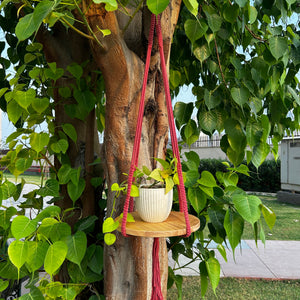 Swing Story CLASSIC – Macrame Hanging Shelf | METAL CEILING HOOK INCLUDED