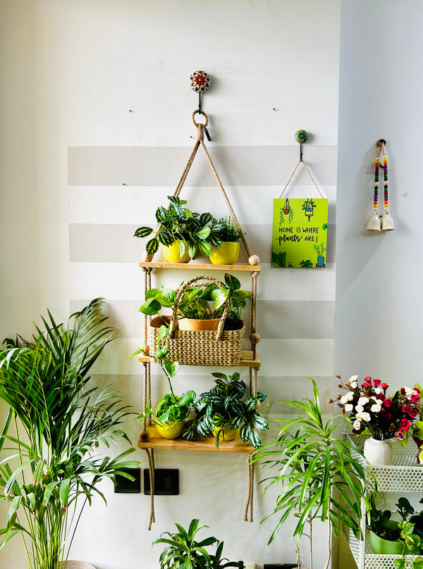 Jute triple wooden shelf with hook and ceramic planters