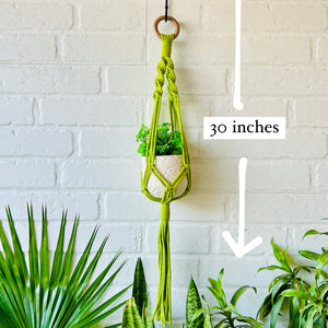 Colorful Macrame Plant Hangers with classic white ceramic pots and ceramic hook