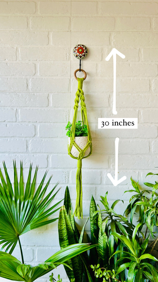 Colorful Macrame Plant Hangers with classic white ceramic pots and ceramic hook