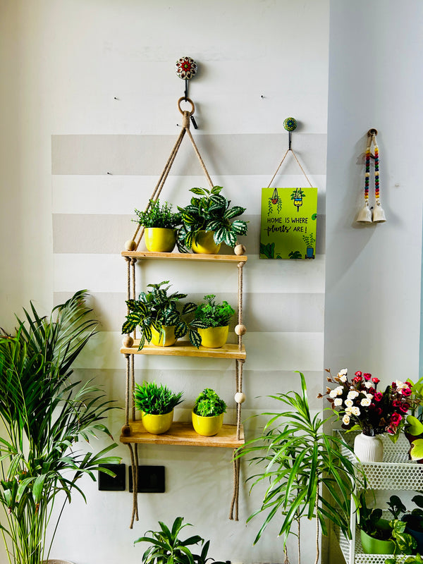 Jute triple wooden shelf with hook and ceramic planters