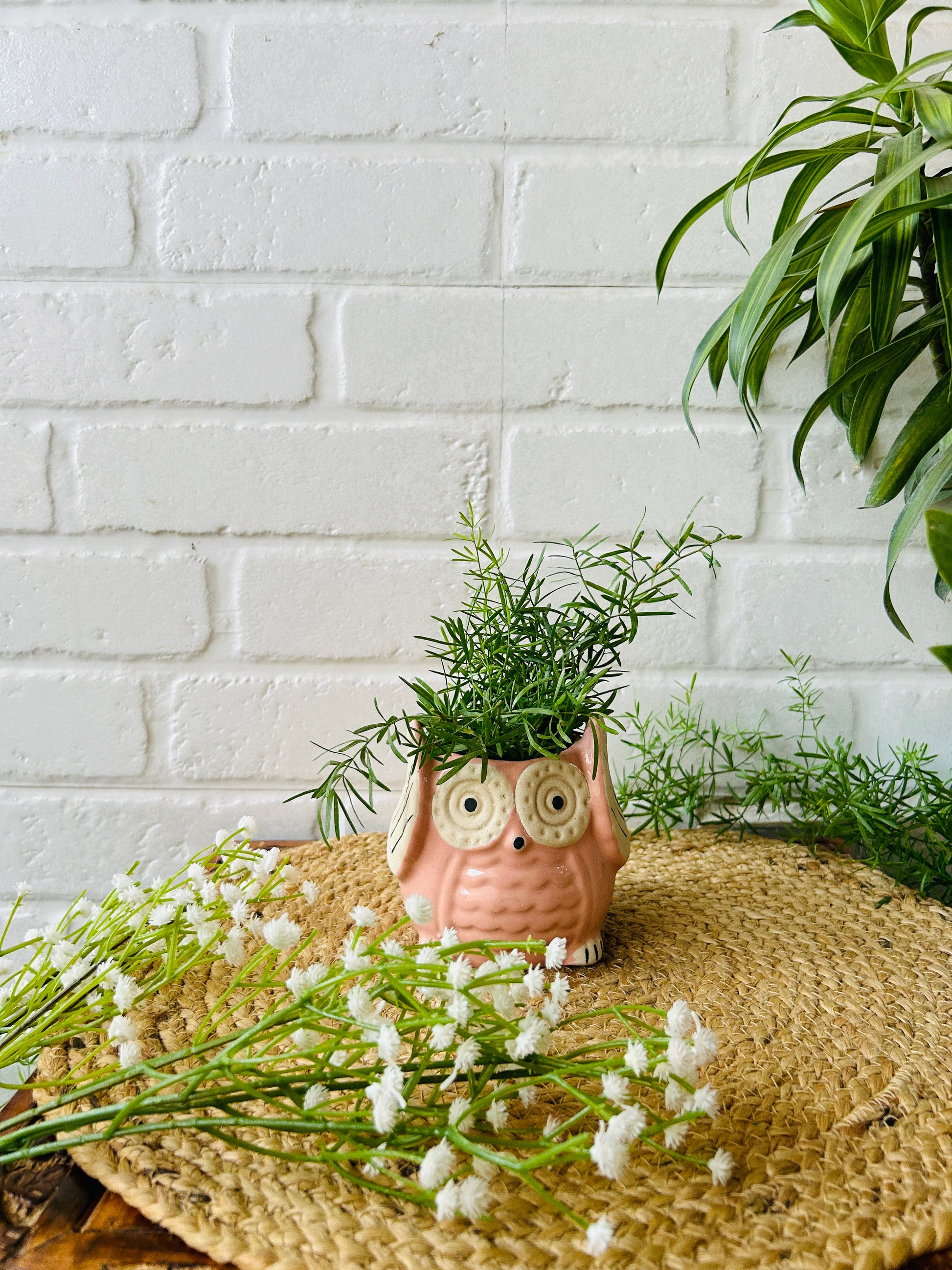 Ceramic Owl Planter | Pink | Buy 2 get 2 offer applicable| Use code "OWL4"