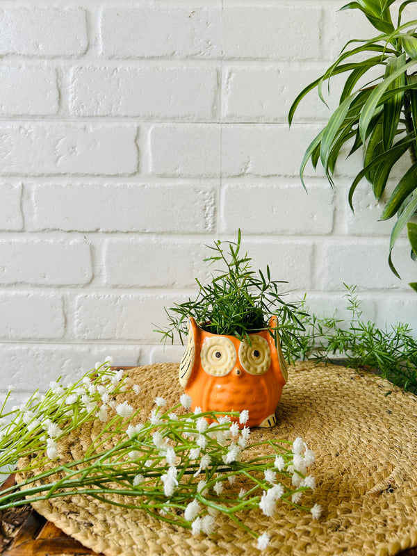 Ceramic Owl Planter | Orange | Buy 2 get 2 offer applicable| Use code 