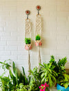 Double Diamond Macrame Plant Hangers With Owl Planters | Set of 2