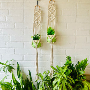 Double Diamond Macrame Plant Hangers With Owl Planters | Set of 2