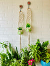 Double Diamond Macrame Plant Hangers With Owl Planters | Set of 2