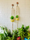 Double Diamond Macrame Plant Hangers With Owl Planters | Set of 2