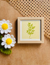Serene Leaves 4 | Small Glass Wall frame