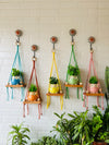 Colored macrame Mini Shelves with Owl shaped planters and Ceramic hooks