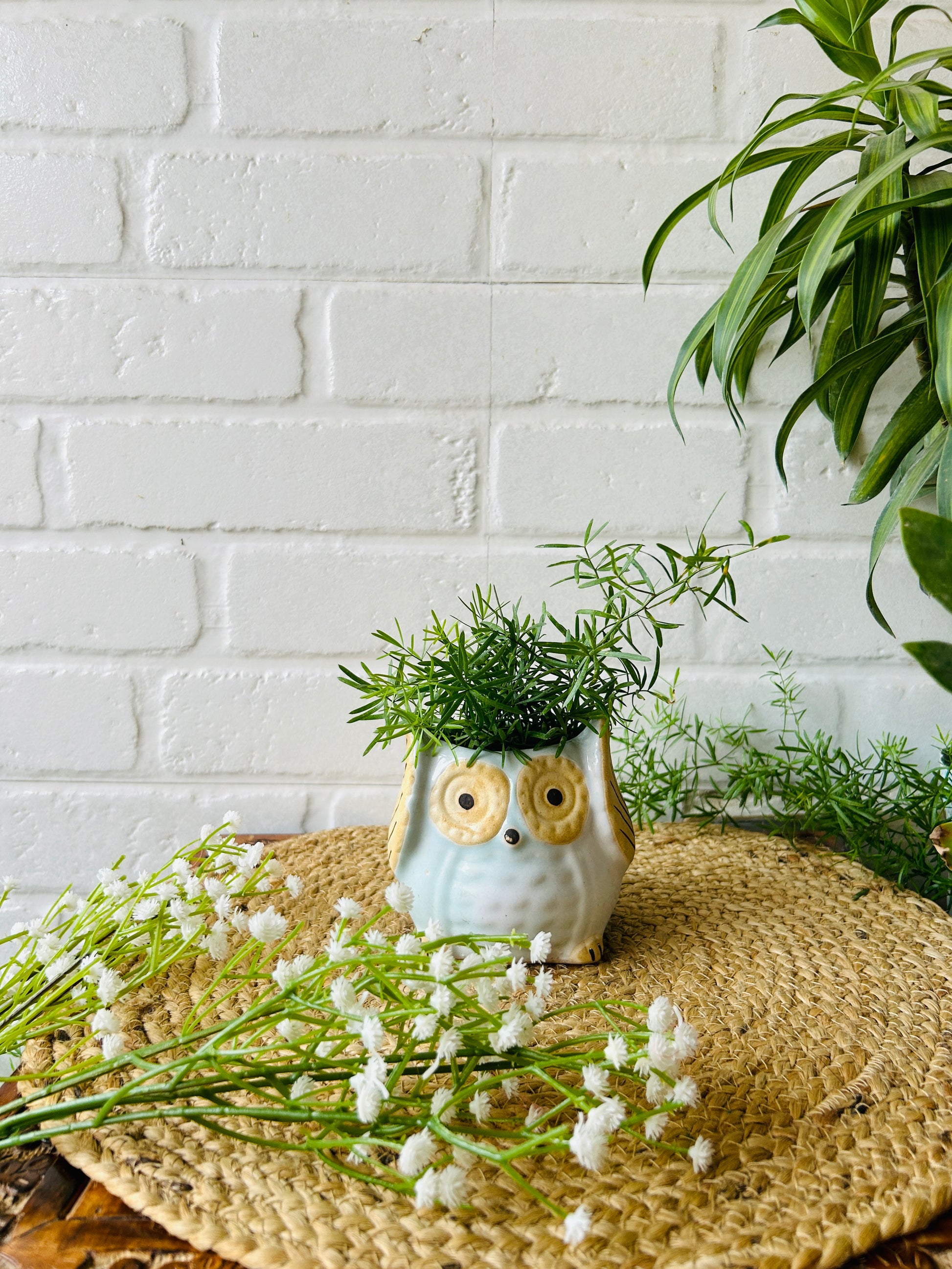 Ceramic Owl Planter | Light Blue | - Buy 2 get 2 offer applicable| Use code "OWL4"
