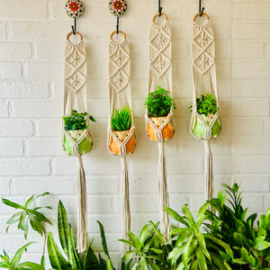 Double Diamond Macrame Plant Hangers With Owl Planters | Set of 4
