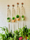 Double Diamond Macrame Plant Hangers With Owl Planters | Set of 4