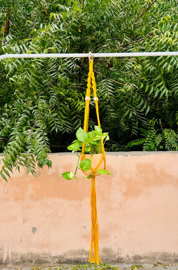 Colorful Macrame Air Planters| Available in 6 different colors (Planter not included)