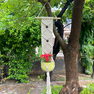 Macrame Single Plant Hanger - Diamond | With yellow pot