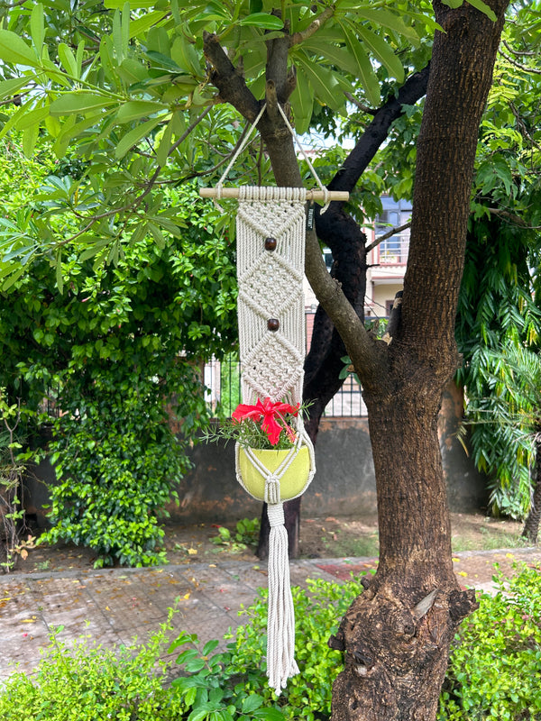 Macrame Single Plant Hanger - Diamond | With yellow pot