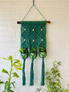 Triple Macrame Plant Hanger | Olive Green