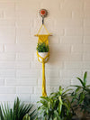 Miniature Macrame Plant Hangers | With pot and flower hook