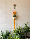 Miniature Macrame Plant Hangers | With pot and flower hook