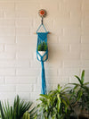 Miniature Macrame Plant Hangers | With pot and flower hook